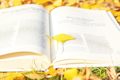 南开大学在职研究生 南开大学在职研究生